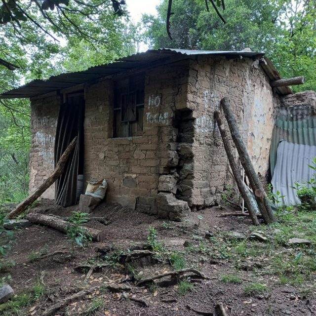 Caminata a la Tapera de los Naranjos